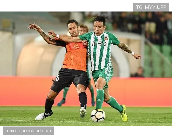 “赛前发布会，尼斯主帅表示球队将全力争取下赛季欧联杯资格”